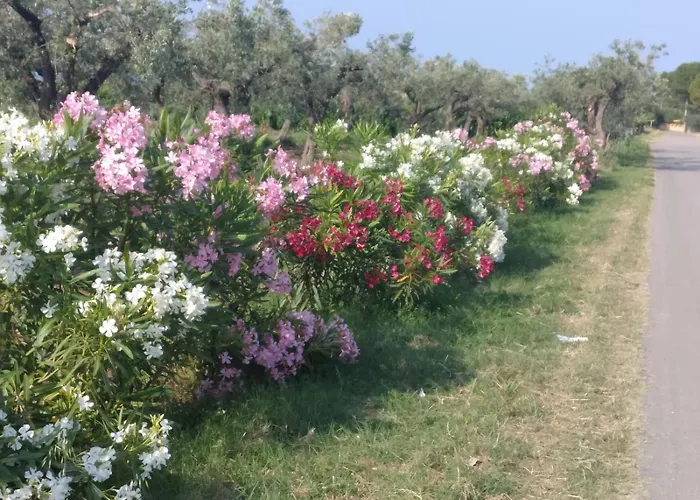 Сasa de vacaciones Casa Dei Nonni