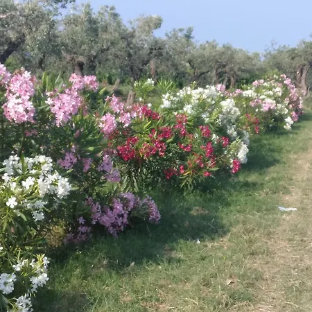 Vakantiehuis Casa Dei Nonni